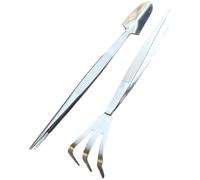 Pinzetta per Bonsai in Acciaio Inox Argento Set 1 Pezzo | Compatta e Pratica, per Piante e Giardinaggio, Uso in Ufficio nel Verde