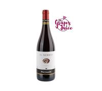 PIO CESARE IL NEBBIO 2019 VINO ROSSO LANGHE DOC PIEMONTE