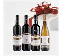 Pio Cesare Piemonte confezione PIO CESARE da 4 BOTTIGLIE NV