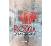 Pioggia. Un dinamico attrito