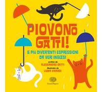 Piovono gatti! Le più divertenti espressioni da veri inglesi
