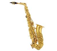 Pipa Curva Sax Contralto Corpo In Ottone Laccato Oro Mi Bemolle Strumento A Fiato Con Custodia E Bocchino Sassofono per principianti Kit