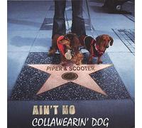 Piper & Scooter - Ain T No Collawearin Dog