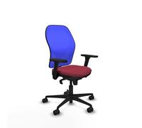 Piqueras y Crespo Sedia ergonomica da studio con bracci 3D, meccanismo sincro a 5 posizioni, supporto lombare 1D e schienale fisso in colore outlet sedie ergonomiche