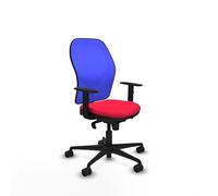 Piqueras y Crespo Sedia ergonomica Jorquera per scoliosi arredamento ergonomico per Scrivania, Schienale fisso e supporto lombare 1D in colore Attraente