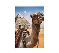 Piramide Camel Welcome Garden Flag 0,6 x 0,9 m Double Sided No Fade House Yard Bandiere Photo Sfondo Festa Banner Per Cortile Portico Prato Decorazione Esterna