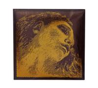 Pirastro Evah Pirazzi Gold G Go Violin