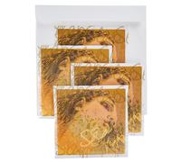 Pirastro Evah Pirazzi Slap Strings Set