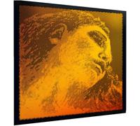 Pirastro Evah Pirazzi Violine Gold Set