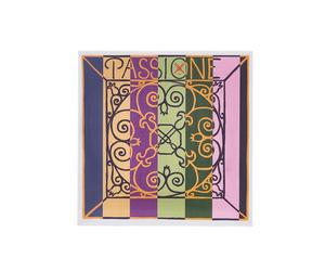 Pirastro Passione Solo Violin G 4/4 med