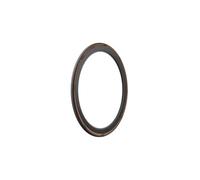 Pneumatico Pirelli P ZERO Race Classic nero-marrone - 700x28
