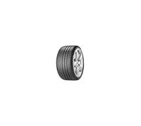 Pirelli W 240 SottoZero S2 ( 255/45 R19 100V, N0 )