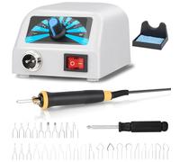 Pirografo per Legno 60W,30 Punte Intercambiabili,Temperatura Regolabile 100°C-800°C, Kit Pirografo Legno Ideale per Principianti e Appassionati di Pirografia