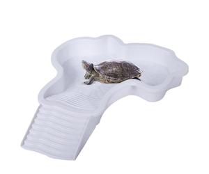 Piscina Per Bagno Di Tartarughe - Vasca Per Tartarughe 35x28,5x4,3cm Con Scala | Bacino e Bagno Đe Anfibi | Piscina D́e Ţortugas, Decorazione D÷e Acquario Dé Paesaggio ara Gecko, orttugas, Drago Ba