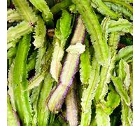 Piselli Asparagi - 40 Seme