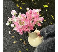 pisello dolce - balcone, resistenti, perenni selvaggi primavera per riverdire tetti semi selvaggi semi 500pcs