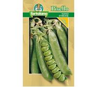 Pisello nano / STIRONE gr.250