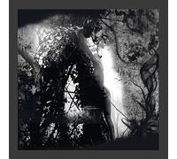 Pisetzky - Tears Of A Rough Machine