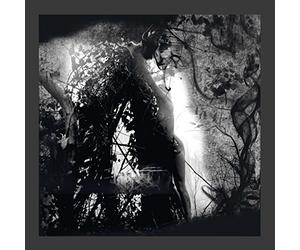 Pisetzky - Tears Of A Rough Machine