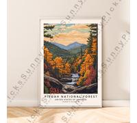 Pisgah National Forest Poster Carolina Viaggi Stampa Illustrazione Décor