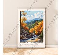 Pisgah Nazionale Stampa Foresta Carolina Viaggi Poster Illustrazione Art