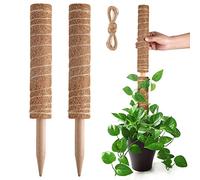 Pisol Palo di muschio, Supporto per bastoncini estensibili, Pali per piante in vaso da interni, Traliccio per piante in fibra di cocco da 40 cm per piante Monstera, Pothos e altre piante rampicanti