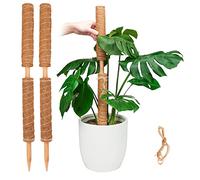 Pisol Palo di muschio, Supporto per bastoncini estensibili, Pali per piante in vaso da interni, Traliccio per piante in fibra di cocco da 40 cm per piante Monstera, Pothos e altre piante rampicanti
