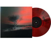 Piss In The Wind - Joji (Vinile)