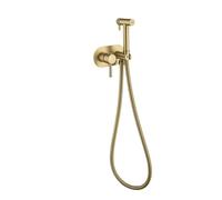 Pistola a spruzzo portatile for rubinetto del WC, bidet, spruzzatore in ottone, valvola angolare, accessori for la pulizia della casa(Set BG)