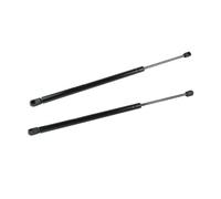 Pistoncini Baule 1 Coppia Per Scenic MK II MPV 2003 2004 2005 2006 2007 2008 2009 Boot Posteriore Portellone Gas Supporti Struts 625N
