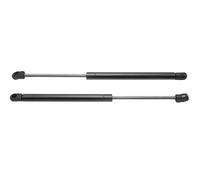 Pistoncini Cofano Baule 2 pezzi di supporto per cofano anteriore auto, molla di supporto ammortizzatore a gas adatto per Infiniti Q50 2014-2018 6547046A0A pistoncini portellone