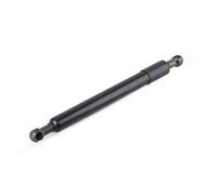 Pistoncini Portellone Compatibile Con Ford Per 2004-2014 Supporto Idraulico Per Asta Di Sollevamento Per Portellone Posteriore Del Bagagliaio Dell'auto Asta Idraulica DZ43200 43200