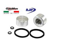 PISTONCINI REVISIONE PINZA FRENO 25 X 13 AJP CGN496333