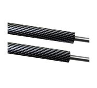 Pistoncinis Baule Per Citroen Per C3 MK1 2002-2009 Tronco Ammortizzatori A Gas Spring Bar Ammortizzatore Posteriore Puntone Asta Portellone Pistoncini(Black Silver)