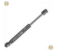 Pistoncino ammortizzatore molla a gas portellone per Ford C-Max 2011-2019