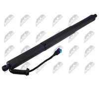 PISTONCINO COFANO PORTELLONE POST. NTY AE-BM-091 PER BMW X1 F48/49 51247481807