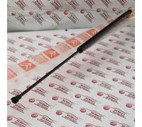 PISTONCINO PORTELLONE CITROEN XSARA PICASSO COD. 8731N2 NUOVO ORIGINALE