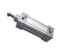 Pistone a cilindro pneumatico standard CP95SDB40/50 doppio effetto, corsa 25-1000 mm, 1 pezzo (Stroke 300 mm,CP95SDB40 (Bore40 mm))
