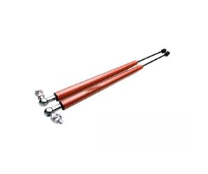 Pistone cofano Standard Pistone Cofano Per Accord 8TH Per Acura TSX | 2 pezzi/1 coppia,2 pezzi di puntelli per il cofano anteriore,Set completo(Carbon red)