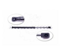 Pistone Del Bagagliaio Per Renault Megane III 844300009R