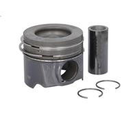 Pistone KOLBENSCHMIDT 41 938 600 per CITROEN DS5 2 2014-2015