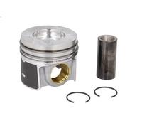 Pistone MAHLE 013 PI 00156 002