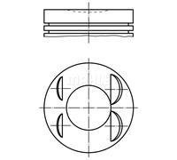Pistone MAHLE 021 PI 00127 000