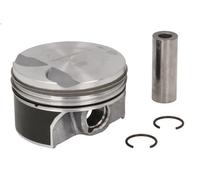 Pistone MAHLE 028 PI 00157 002