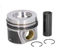 Pistone MAHLE 028 PI 00160 002