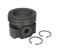 Pistone MAHLE 038 73 00