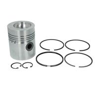 Pistone MAHLE 043 78 00