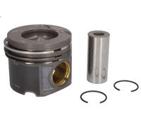 Pistone MAHLE 081 PI 00103 001 per BMW 5 (E60) 3 2002-2009