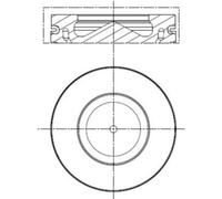 Pistone MAHLE 081 PI 00113 001