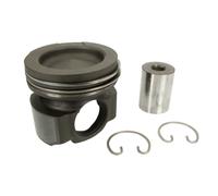 Pistone MAHLE 209 73 00